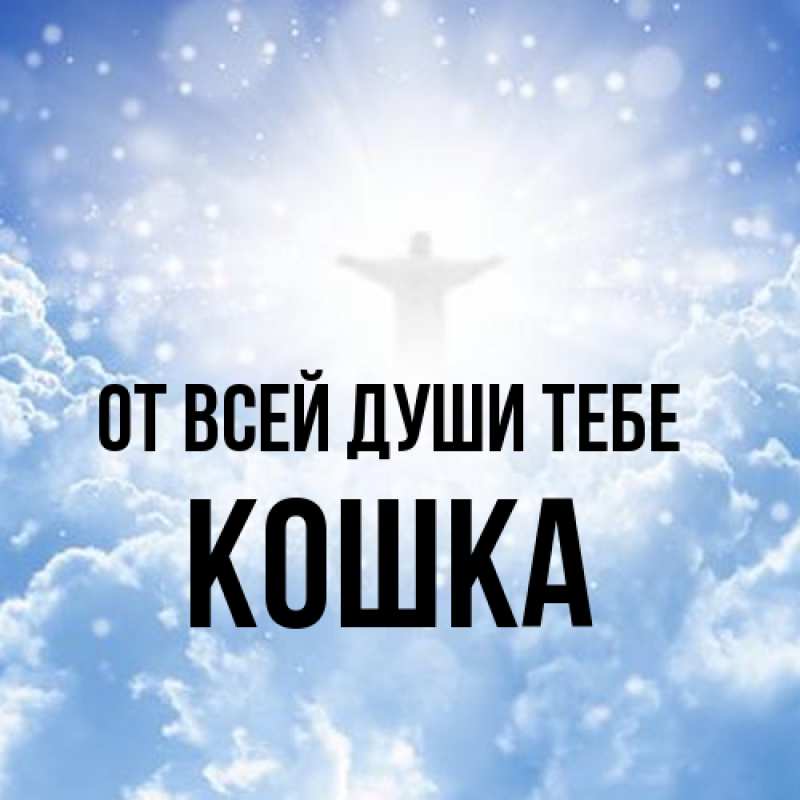 Картинка От всей души тебе, Кошка