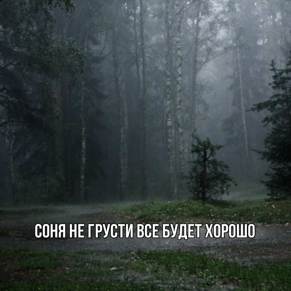 Открытка на каждый день с именем, Соня Не грусти все будет хорошо осень Прикольная открытка с пожеланием онлайн скачать бесплатно 