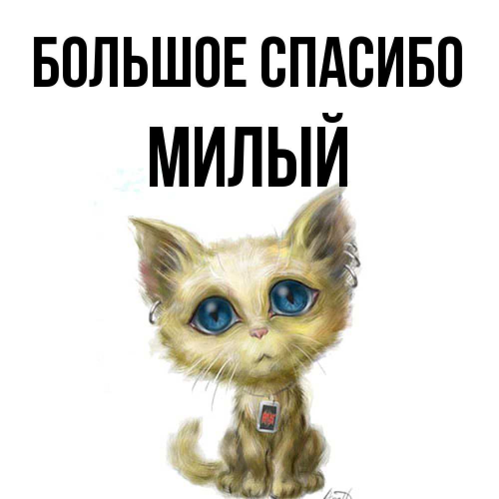 Открытка на каждый день с именем, Милый Большое спасибо рисованный кот благодарит вас Прикольная открытка с пожеланием онлайн скачать бесплатно 