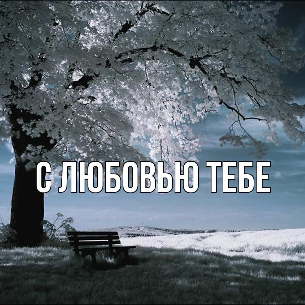 Открытка на каждый день с именем, Влад Обнимашки дерево Прикольная открытка с пожеланием онлайн скачать бесплатно 