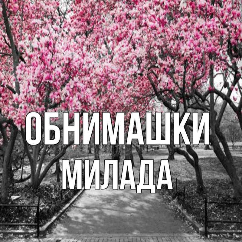 Картинка Обнимашки, Милада