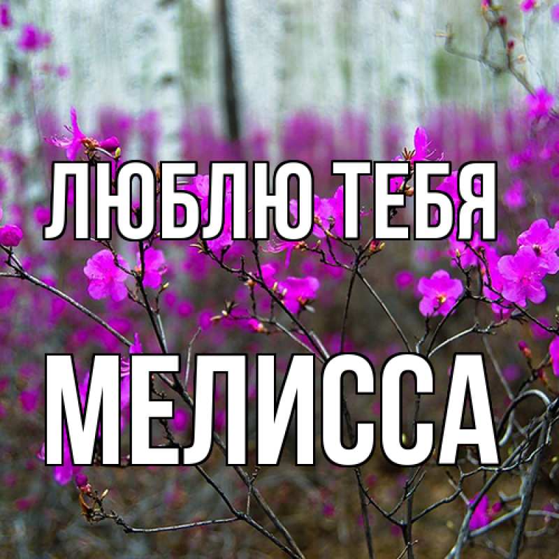 Картинка Люблю тебя, Мелисса
