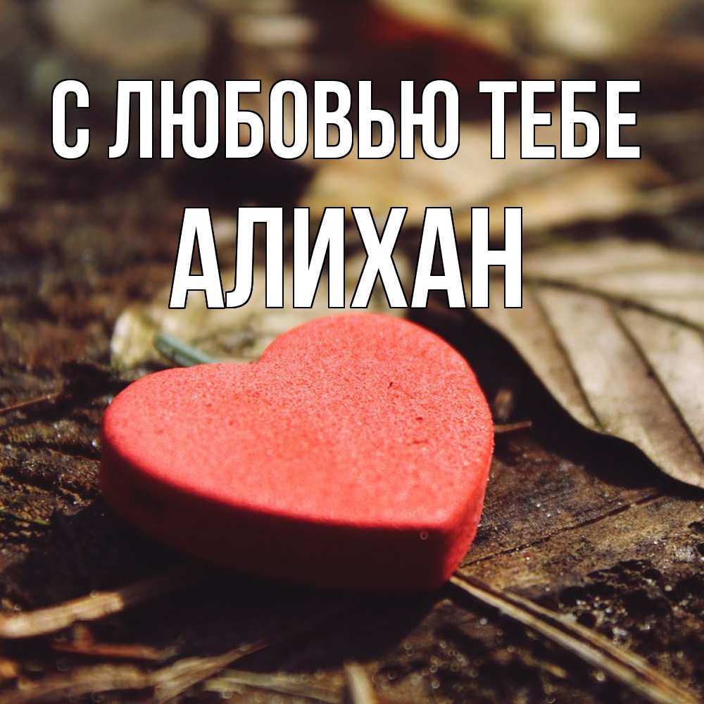 Открытка на каждый день с именем, Алихан С любовью тебе листья деревье 4 Прикольная открытка с пожеланием онлайн скачать бесплатно 