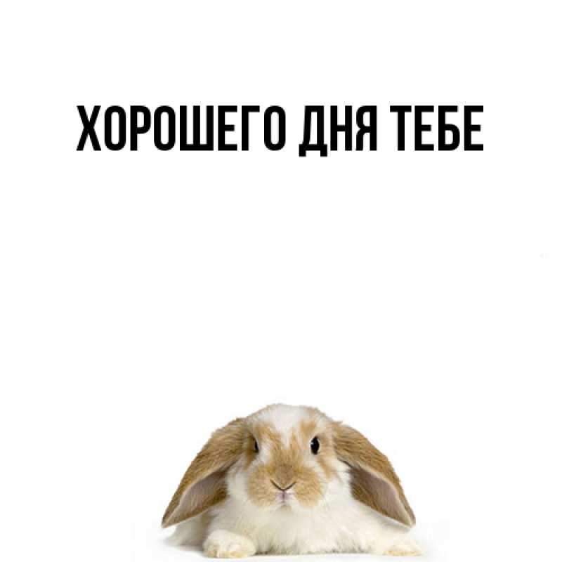 Картинка Удачи тебе, Данияр