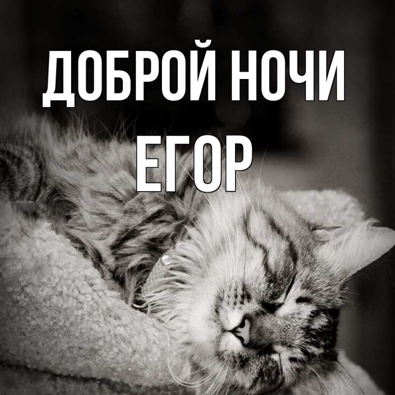 Картинка Доброй ночи, Егор