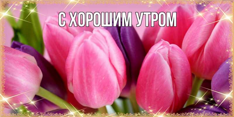 Картинка Люблю тебя, Таня