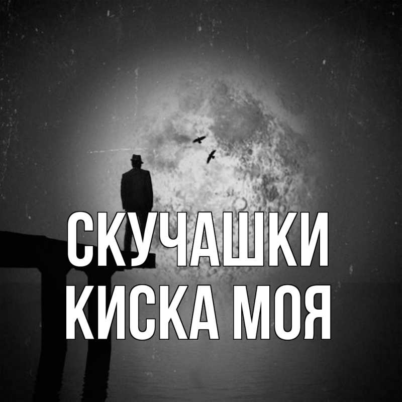 Картинка Скучашки, Киска моя