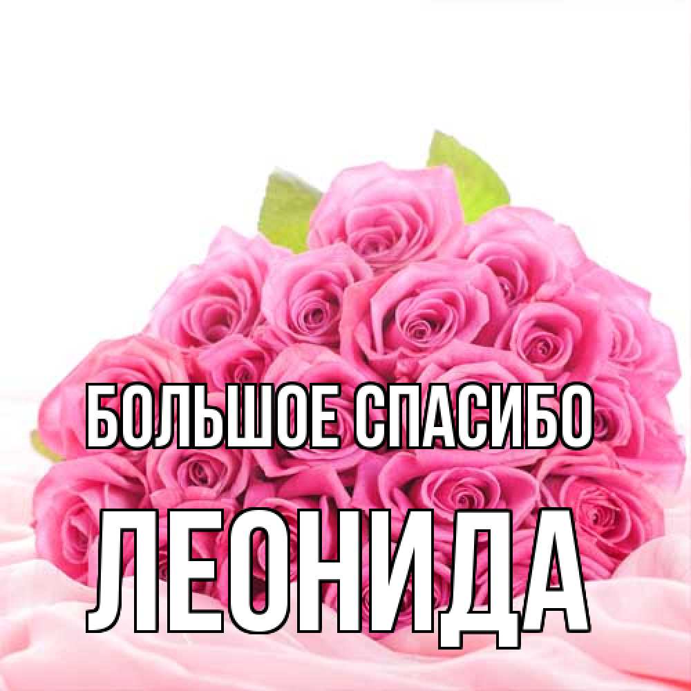 Открытка на каждый день с именем, Леонида Большое спасибо розовые розы с подписью Прикольная открытка с пожеланием онлайн скачать бесплатно 