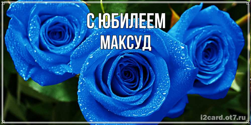 Открытка на каждый день с именем, Максуд C юбилеем розы с синим цветом Прикольная открытка с пожеланием онлайн скачать бесплатно 