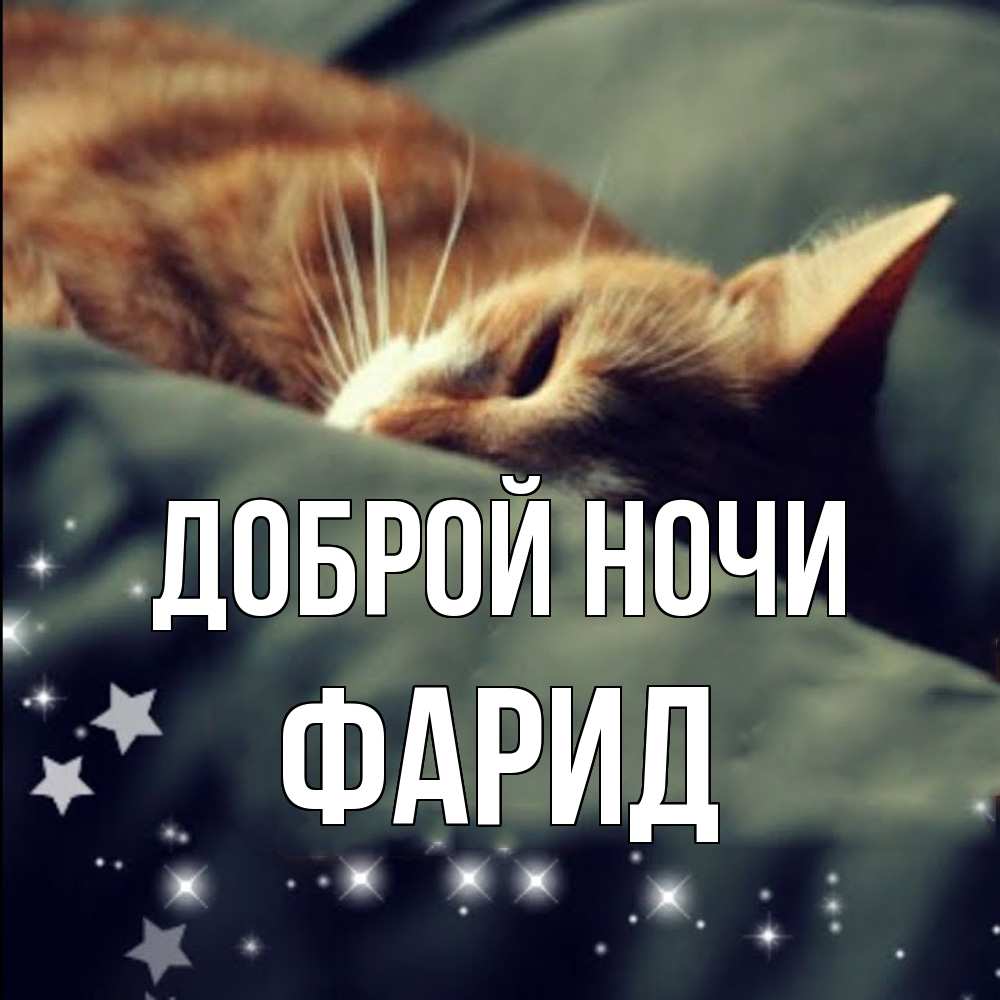 Открытка на каждый день с именем, Фарид Доброй ночи кроватка Прикольная открытка с пожеланием онлайн скачать бесплатно 
