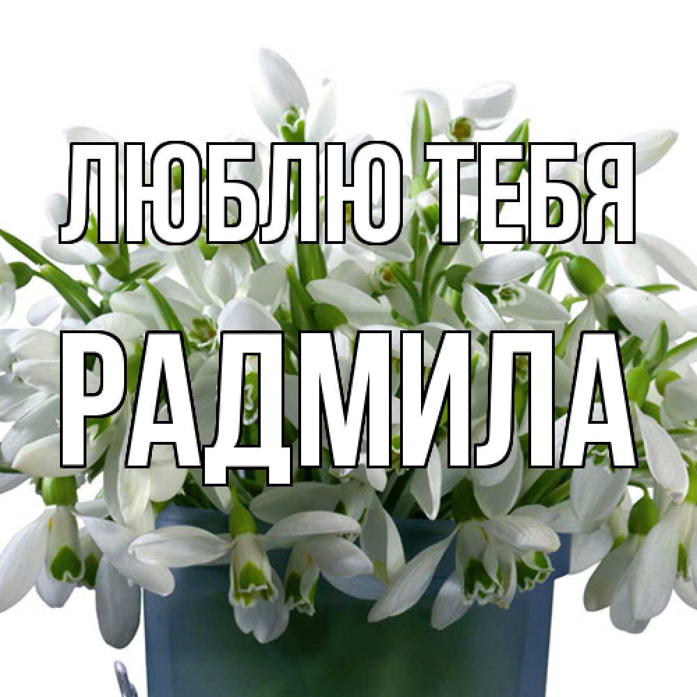 Открытка на каждый день с именем, Радмила Люблю тебя цветы к международному женскому дню Прикольная открытка с пожеланием онлайн скачать бесплатно 