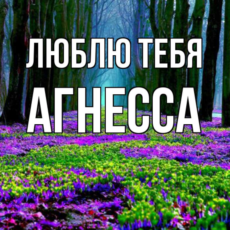 Картинка Люблю тебя, Агнесса