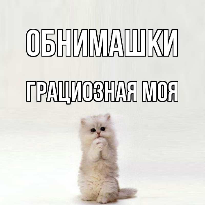 Картинка Обнимашки, Грациозная моя