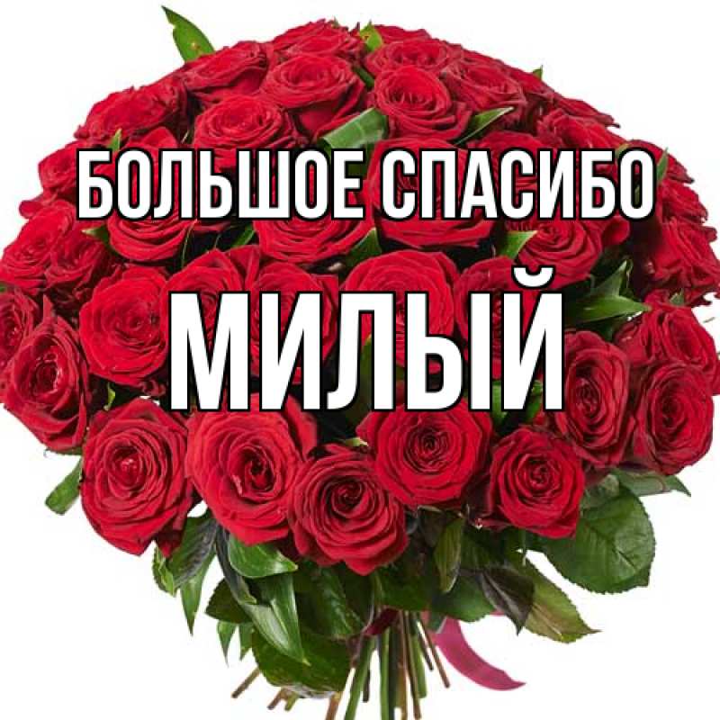 Картинка Большое спасибо, Милый