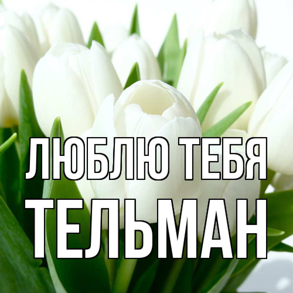 Открытка на каждый день с именем, Тельман Люблю тебя цветы Прикольная открытка с пожеланием онлайн скачать бесплатно 