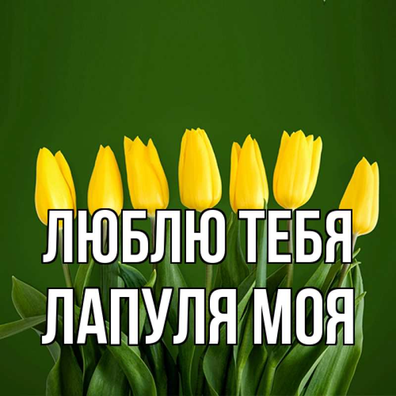 Картинка Люблю тебя, Лапуля моя