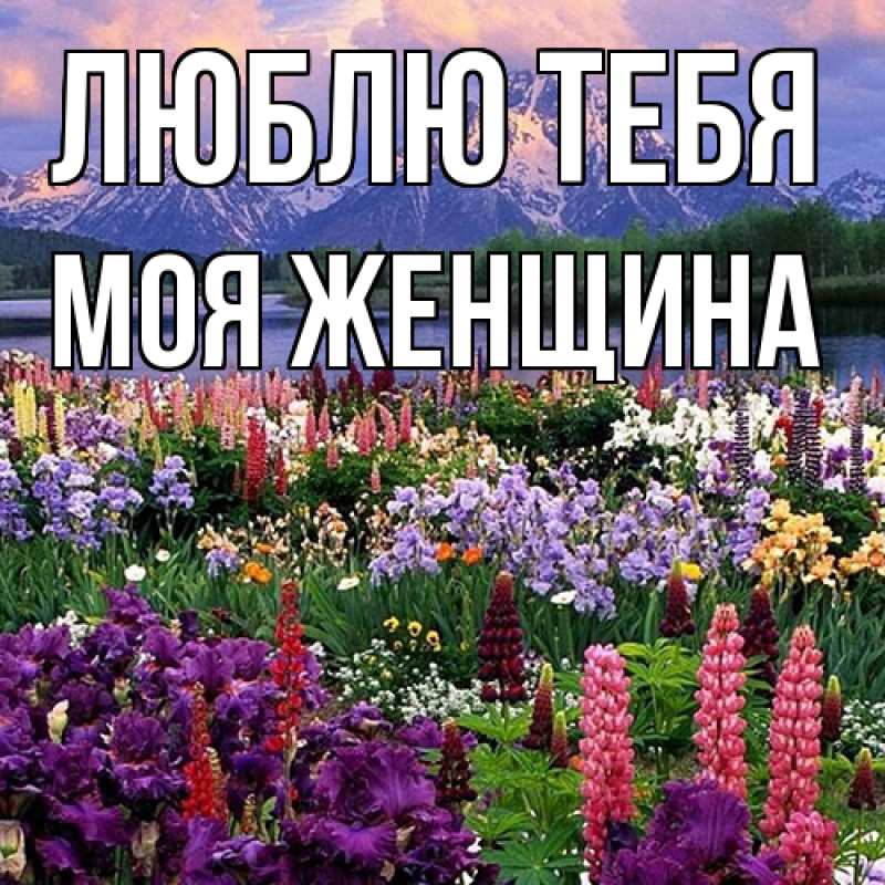Картинка Люблю тебя, Моя женщина
