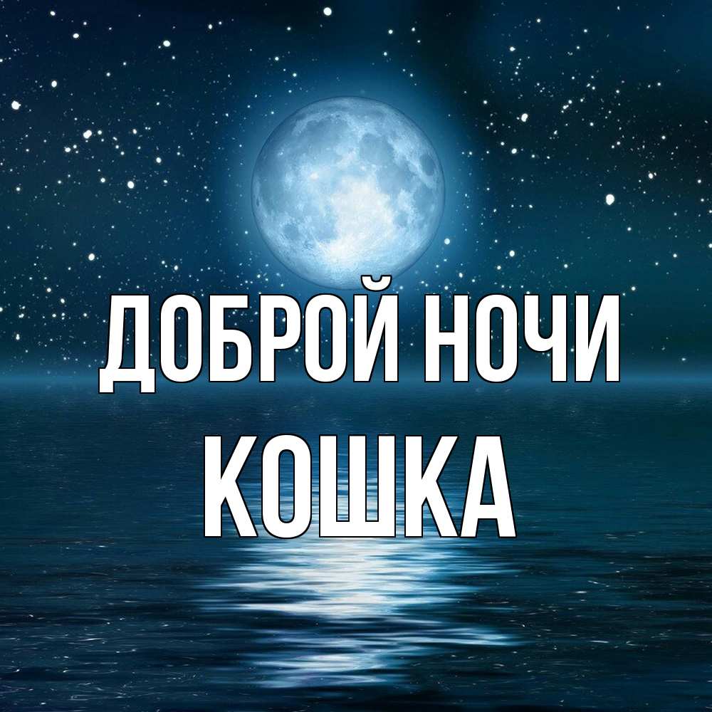 Открытка на каждый день с именем, Кошка Доброй ночи звезды Прикольная открытка с пожеланием онлайн скачать бесплатно 
