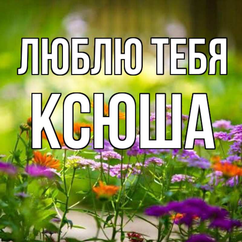 Картинка Люблю тебя, Ксюша