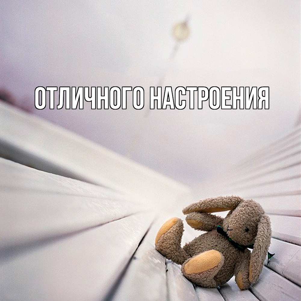 Открытка на каждый день с именем, Кисуля-моя Обнимашки сидит на лавочке Прикольная открытка с пожеланием онлайн скачать бесплатно 