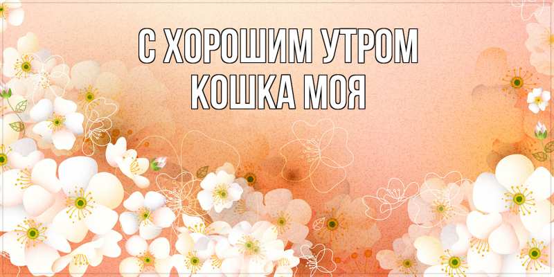 Картинка С хорошим утром, Кошка моя