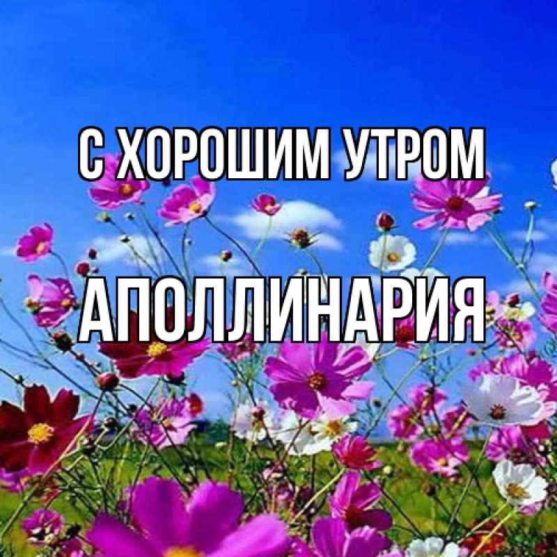 Картинка С хорошим утром, Аполлинария