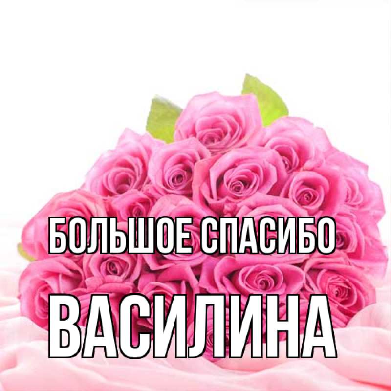 Картинка Большое спасибо, Василина