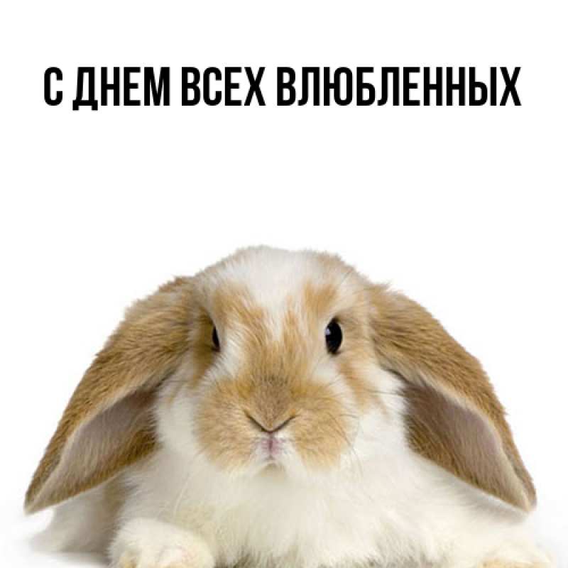 Картинка Большое спасибо, Милада