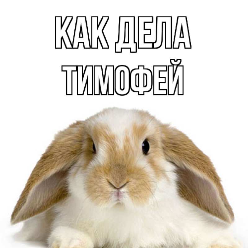 Открытка с именем, Тимофей, Как дела