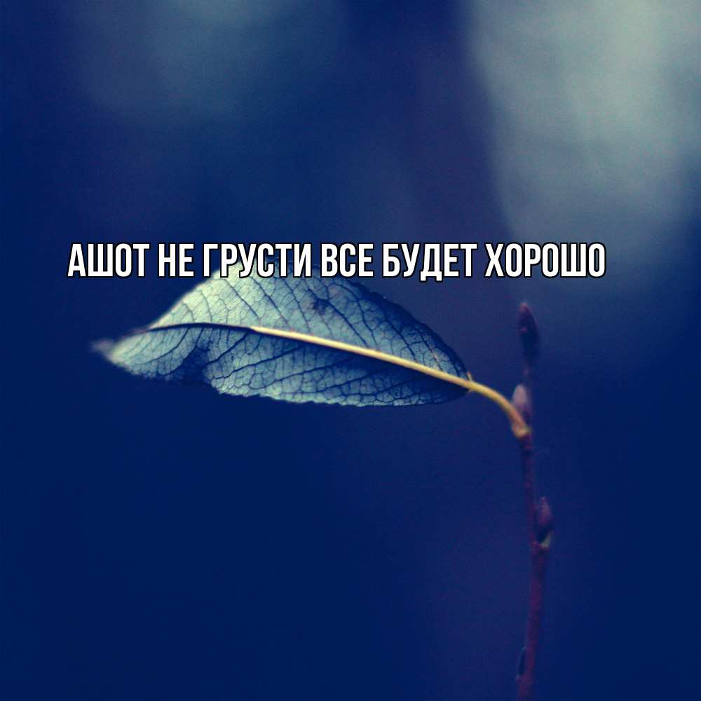Открытка на каждый день с именем, Ашот Не грусти все будет хорошо растение Прикольная открытка с пожеланием онлайн скачать бесплатно 