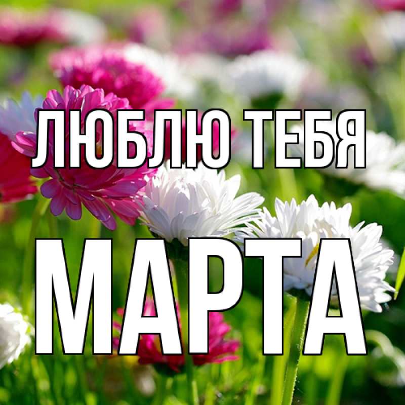 Картинка Люблю тебя, Марта