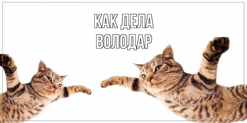 Картинка Как дела, Володар