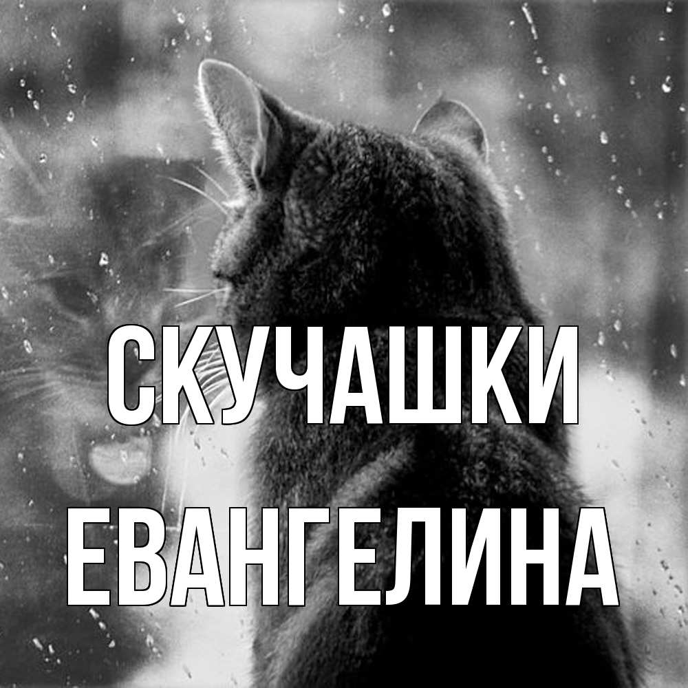 Открытка на каждый день с именем, Евангелина Скучашки скорее ко мне приходи 1 Прикольная открытка с пожеланием онлайн скачать бесплатно 