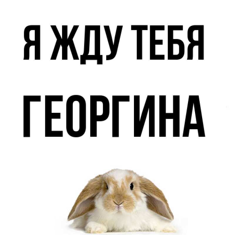 Картинка Я жду тебя, Георгина