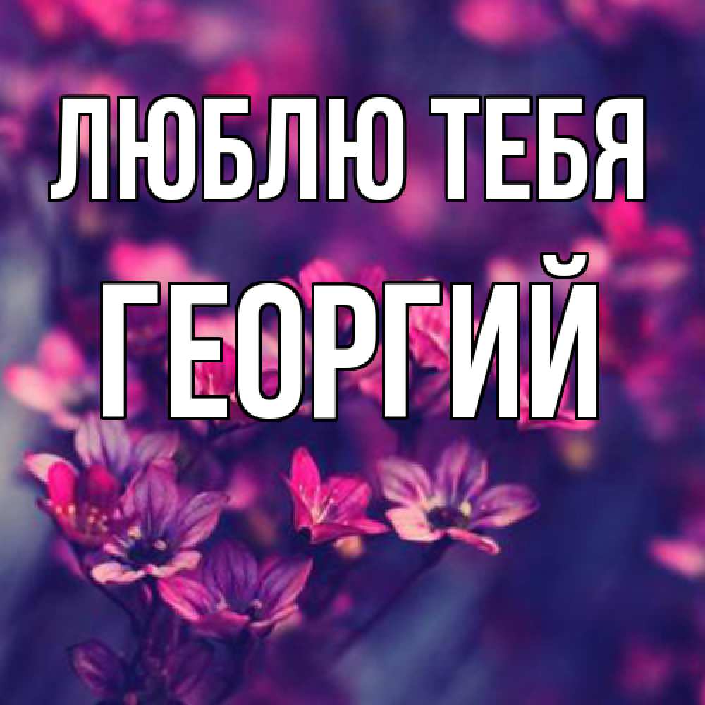 Открытка на каждый день с именем, Георгий Люблю тебя небольшие цветы 1 Прикольная открытка с пожеланием онлайн скачать бесплатно 