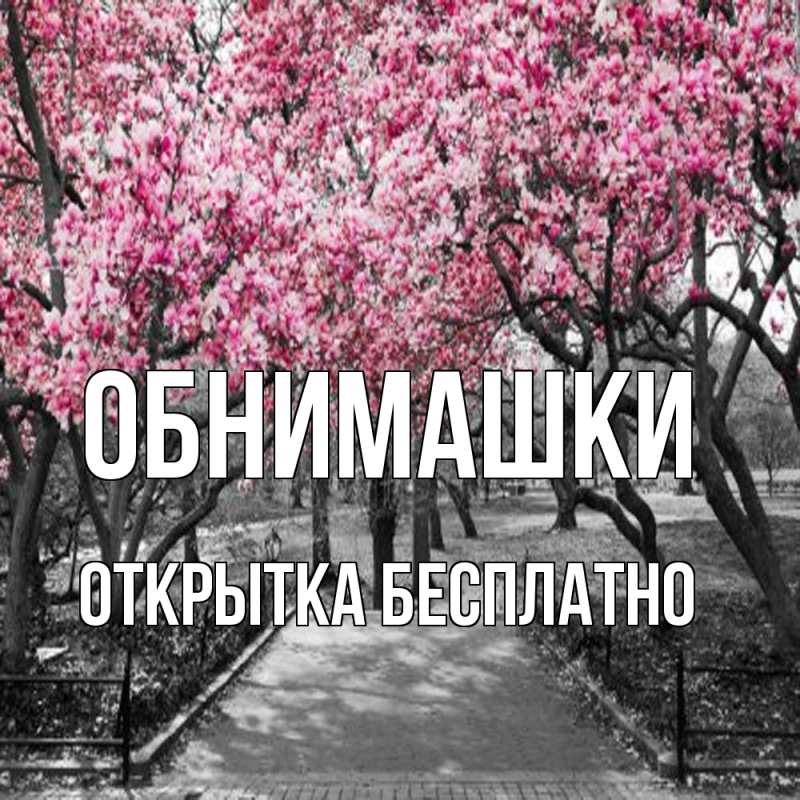Картинка Обнимашки, открытка бесплатно
