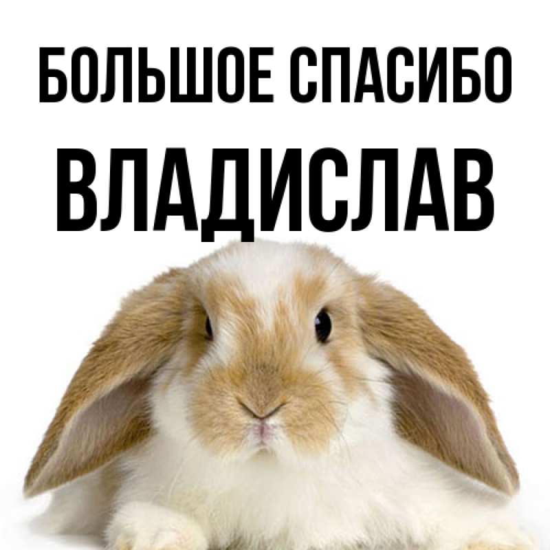 Картинка Большое спасибо, Владислав