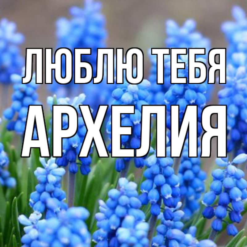 Картинка Люблю тебя, Архелия