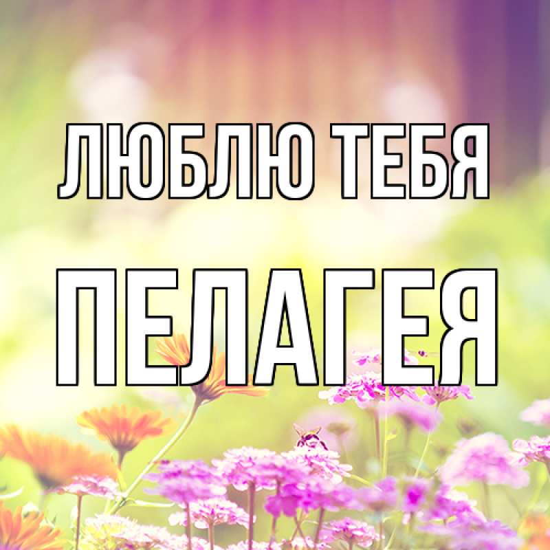 Картинка Люблю тебя, Пелагея