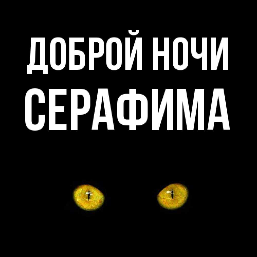 Открытка на каждый день с именем, Серафима Доброй ночи сладких снов бесстрашный мой дружочек Прикольная открытка с пожеланием онлайн скачать бесплатно 