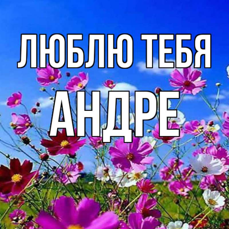 Открытка с именем, Андре, Люблю тебя