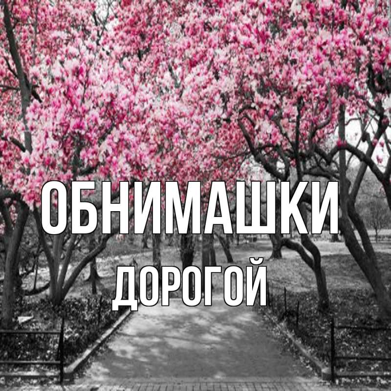 Картинка Обнимашки, Дорогой