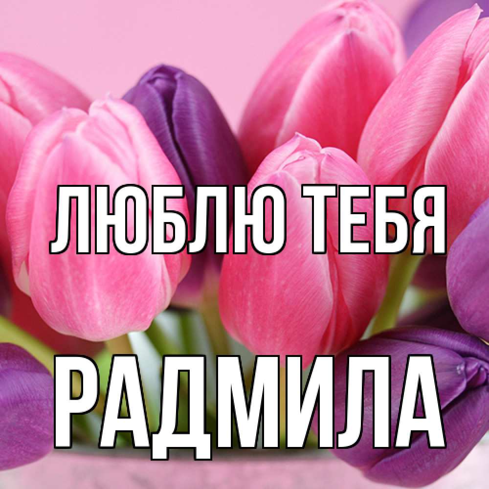 Открытка на каждый день с именем, Радмила Люблю тебя маме 1 Прикольная открытка с пожеланием онлайн скачать бесплатно 