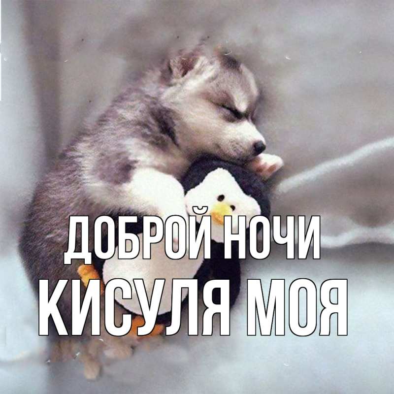 Картинка Доброй ночи, Кисуля моя