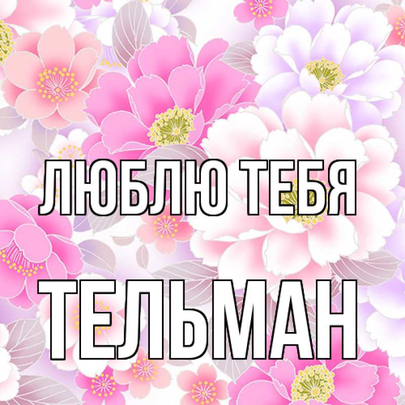 Картинка Люблю тебя, Тельман