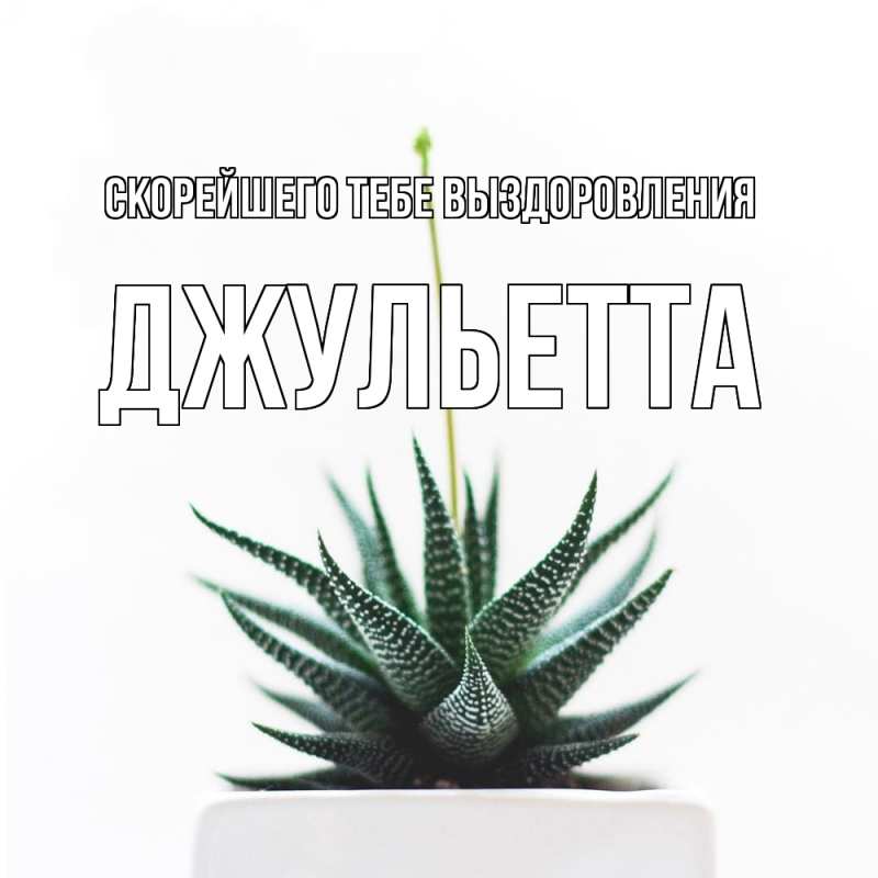 Картинка Скорейшего тебе выздоровления, Джульетта