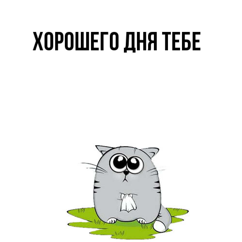 Открытка на каждый день с именем, Израиль Обнимашки котик теребит платочек сидя на травке Прикольная открытка с пожеланием онлайн скачать бесплатно 