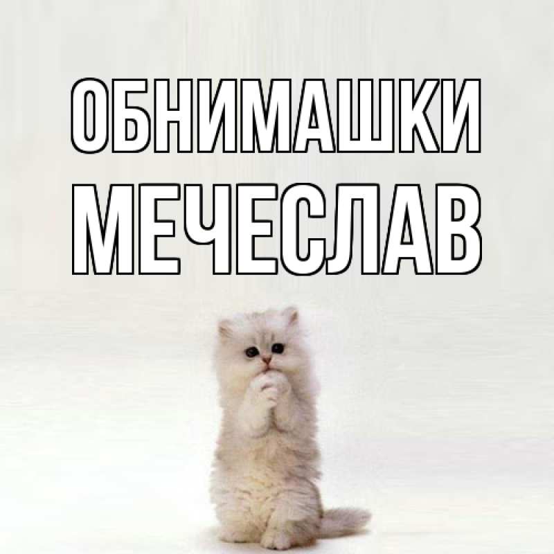 Картинка Обнимашки, Мечеслав