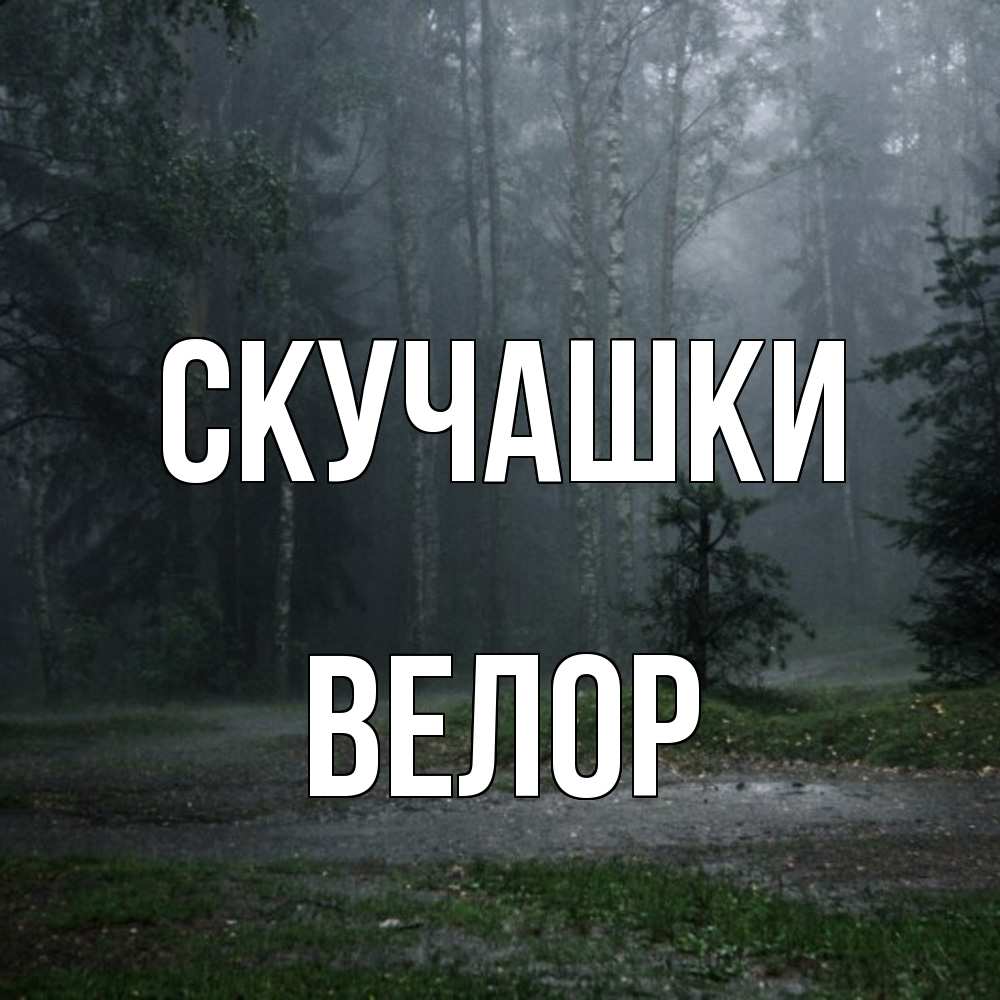 Открытка на каждый день с именем, Велор Скучашки одна и плохо мне Прикольная открытка с пожеланием онлайн скачать бесплатно 