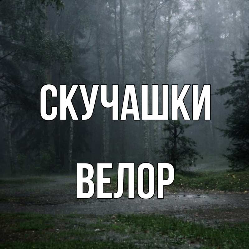 Картинка Скучашки, Велор